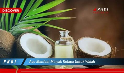 Temukan 7 Manfaat Minyak Kelapa Untuk Wajah Yang Bikin Kamu Penasaran