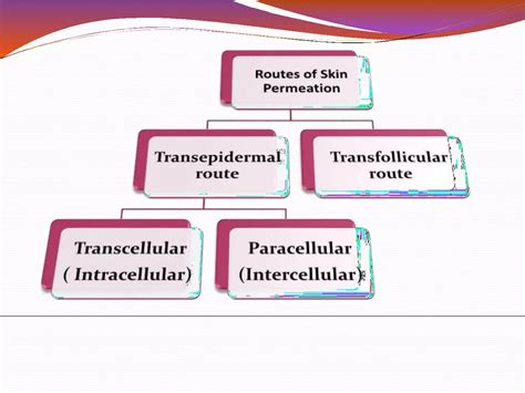 Ndds 7 Transdermal Drug Delivery System Ppt