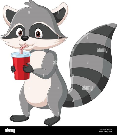 Cute Raccoon Cartoon Drinking Soda Stock Vector Image And Art Alamy