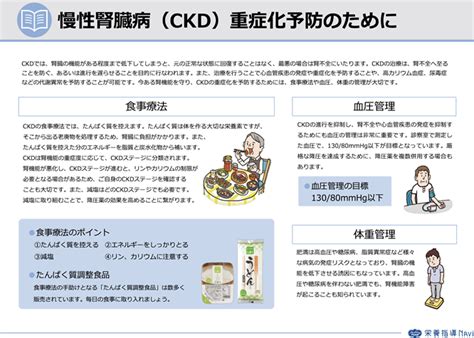 慢性腎臓病 CKD 重症化予防のために 使う 栄養指導Navi