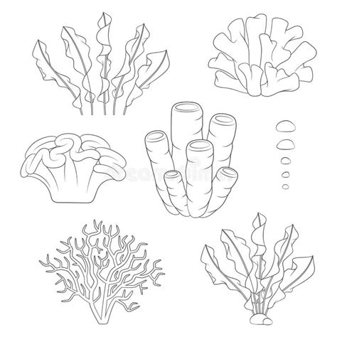 珊瑚和藻类海洋布置不同 白色背景中的孤立侧面影 向量例证 插画 包括有 剪影 水生 收集 礁石 165547090