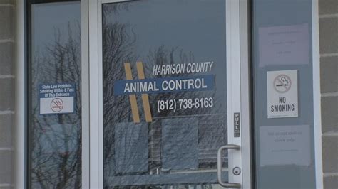 Activities slowly resume at Harrison County Animal Shelter after ...