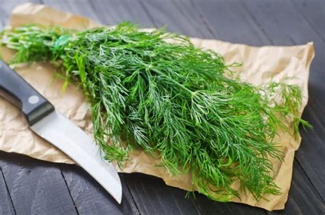 Ways To Use Dill We Eat Live Do Well