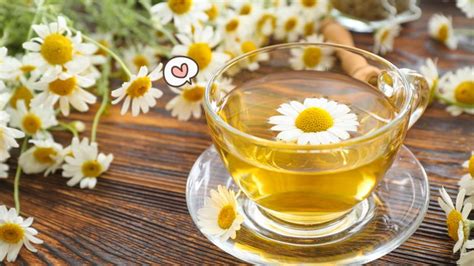 Manfaat Teh Chamomile Untuk Kesehatan Fisik Dan Mental Orami