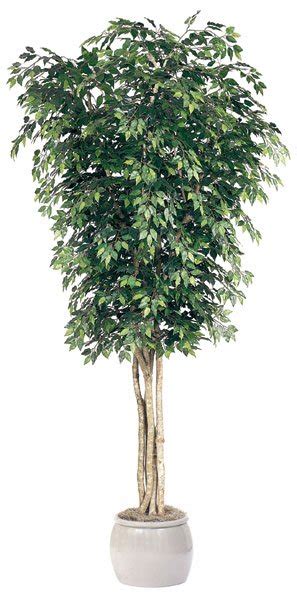 Earthflora Custom Giant Artificial Trees 12 Ficus Tree Natural