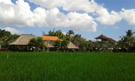 Bebek Tepi Sawah Resto Ubud August 2013 Ubud House Styles Life