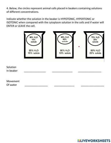 DIFFUSION OSMOSIS AND ACTIVE TRANSPORT TEST Worksheet Live