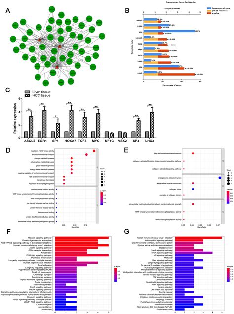 Identification Of Mirnas As Diagnostic And Prognostic Markers In