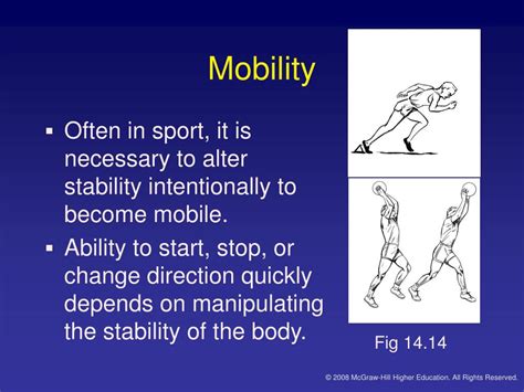 PPT Chapter 14 The Center Of Gravity And Stability PowerPoint