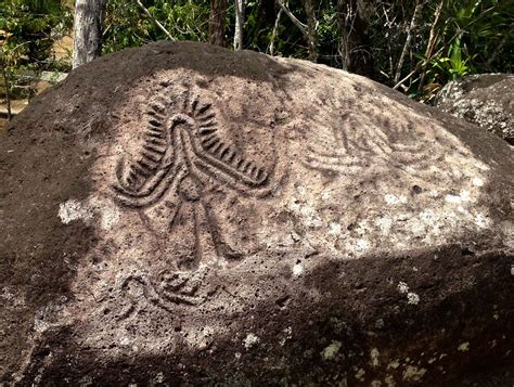 Petroglyphs At Nancito Panama Ancient Forest Petroglyphs Ancient