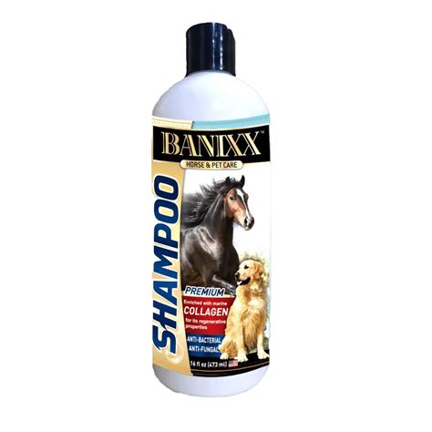 Rain Rot In Horses Banixx Rain Rot Treatment For Horses