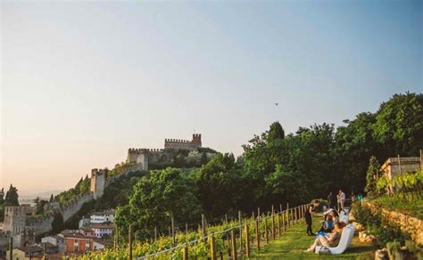 Le Migliori Degustazioni Vini In Veneto Holidoit