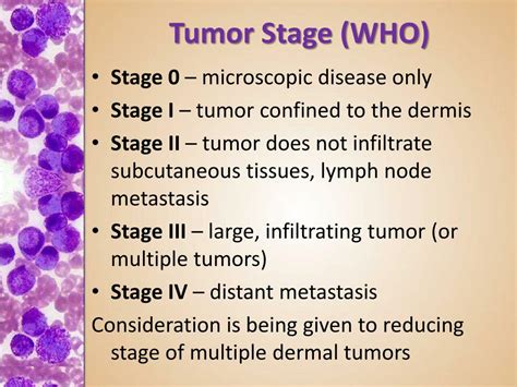 Ppt Practical Oncology Mast Cell Tumor Powerpoint Presentation Free