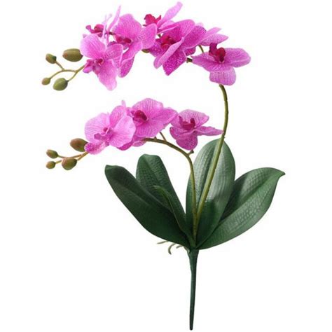 Tige D Orchid E Artificielle