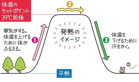 発熱時のケア～回復をサポートする3つのタイミング～｜赤十字newsオンライン版｜広報ツール・出版物｜赤十字について｜日本赤十字社