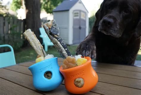 9 Best All Natural Dog Chews for Aggressive Chewers [Labrador Approved!]