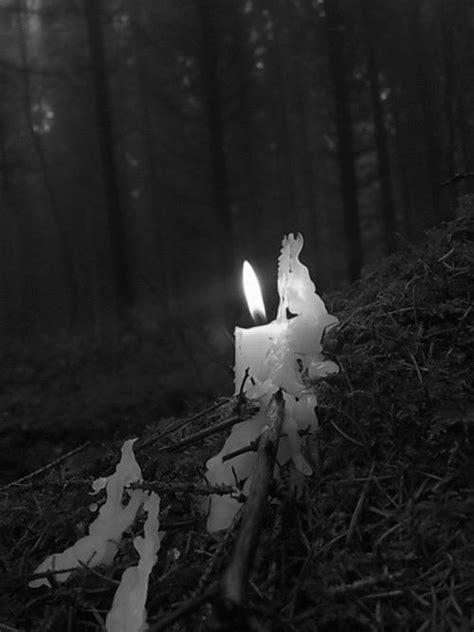 Burning Candle In The Woods Magick Candles Witchy