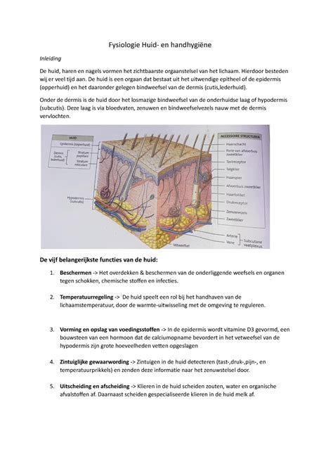 De Huid Samenvatting Anatomie En Fysiologie Een Inleiding