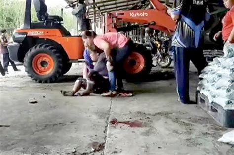 Man Accidentally Crushes 2 Year Old Daughter With Tractor Thaiger