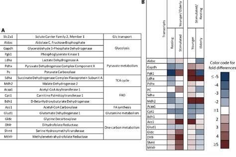 Gene Expression Profiles Of Naïve B Cells Undergoing Stimulation Naïve