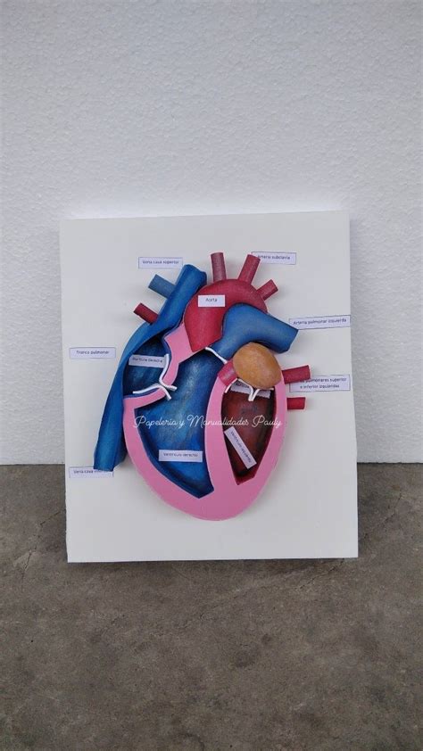 Heart Anatomy Printable Activity Human Body Game About Me Etsy Artofit