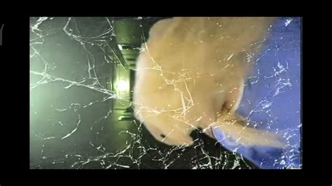 Throat Cut 7 Youtube