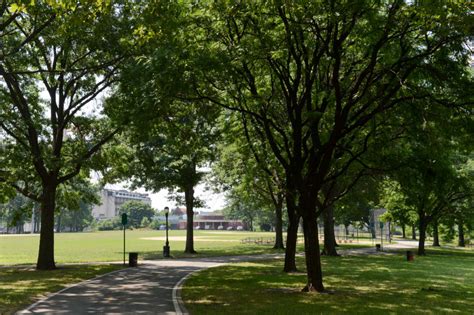 Queensbridge Park : NYC Parks