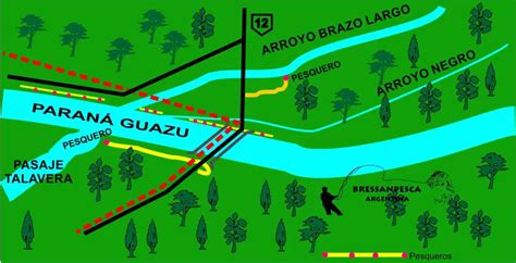 Río Paraná Historia Origen Caracteristicas Altura Y Mucho Mas