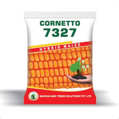 High Yield Maize Seeds Admixture (%): .01 at Best Price in Hyderabad ...