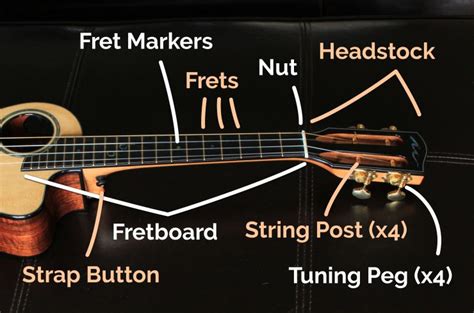 Parts of an 'Ukulele: A Detailed Guide – Live Ukulele