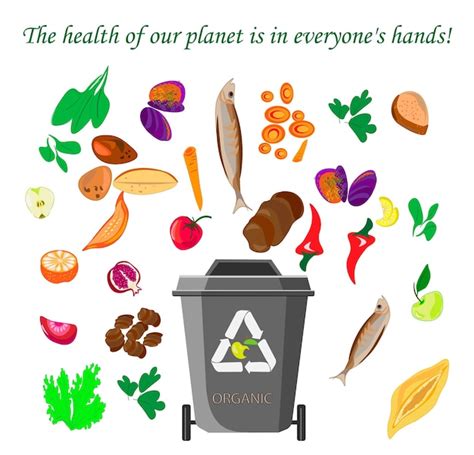 Premium Vector A Poster For Organic Food That Saysthe Health Of Our