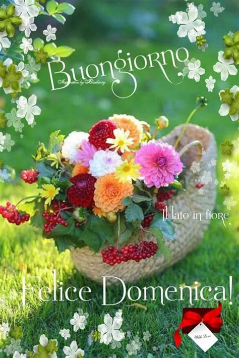 Le Immagini Più Belle Di Buona Domenica 10 Buongiorniit