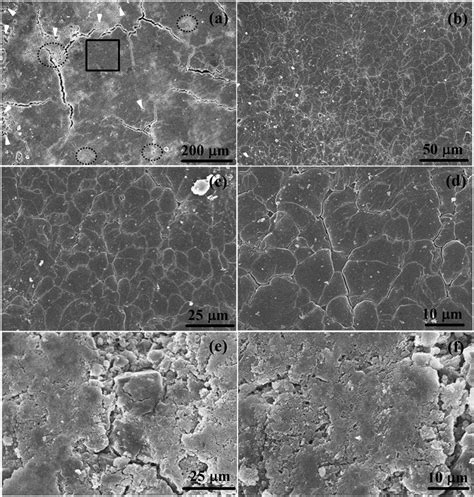 A Sem Images Of The Lithium Metal Surface After Cycles At C