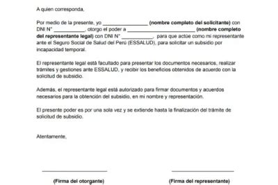 Carta Poder Essalud Formatos Actualizados