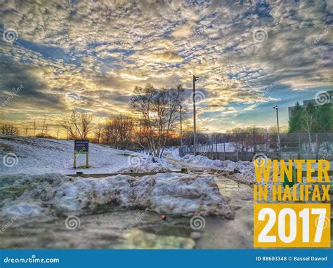 Winter In Halifax Canada 2017 Stock Photo Image Of Storm Canada
