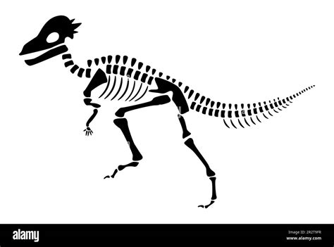 Lexovisaurus Skeleton