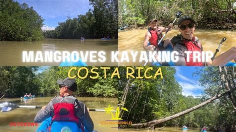 Kayaking A Mangrove Forest Manuel Antonio Costa Rica Youtube