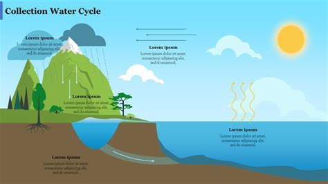 Water Cycle Is Essential For Everyone On Earth Living Beings Require Water To Live And This