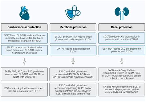 Figure 1 From An Overview Of The Cardioprotective Effects Of Novel