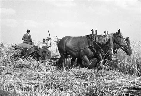 Landwirtschaft Fr Her Und Heute Das Virtuelle Museum Der Verlorenen