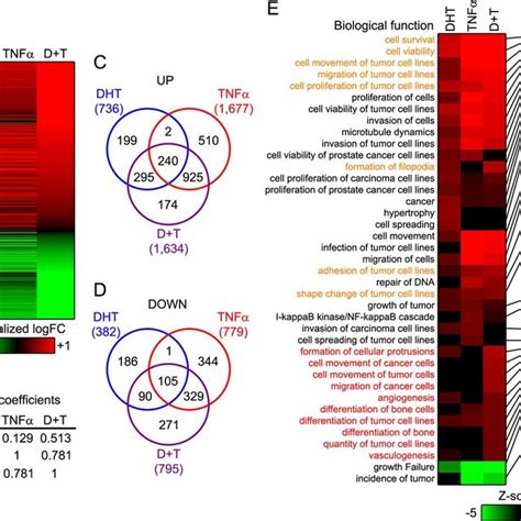 Prostate Cancer Cell Transcriptome Is Reprogrammed By Coactivation Of