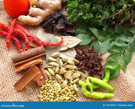 Indian Curry Spices Stock Image Image Of Asia Close 15770293