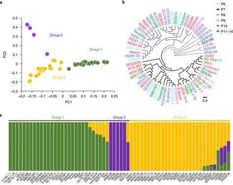 Population Genetic Structure And Phylogenetic Relationships Among 64 S