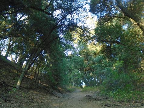 Hiking In Southern California Wildwood Canyon State Park Mccoulough