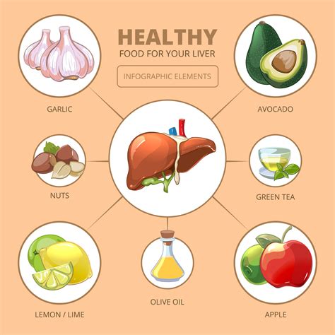 High AST Levels: Causes, Treatment, and Prevention