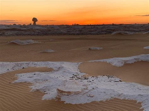 Los Mejores Tours De Safari Por El Desierto Desde El Cairo Egipto