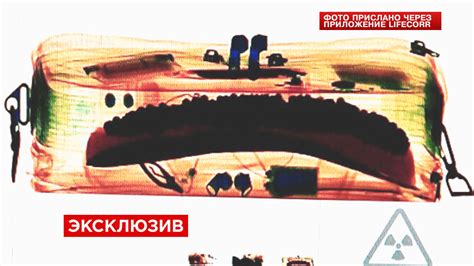 50 поясов смертников пронесли в московское метро за восемь месяцев