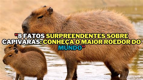 8 Fatos Surpreendentes sobre Capivaras Conheça o Maior Roedor do Mundo