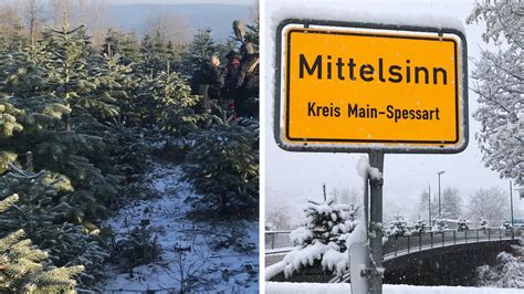 Deutschlands Erstes Christbaumdorf Im Kreis Main Spessart