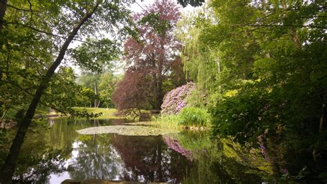 The Pond In Summer By Quadrixel On Deviantart